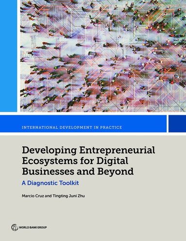 Marcio Cruz, Tingting Juni Zhu - Developing Entrepreneurial Ecosystems for Digital Businesses and Beyond, Häftad