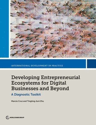 bokomslag Developing Entrepreneurial Ecosystems for Digital Businesses and Beyond