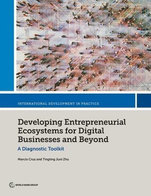 Marcio Cruz, Tingting Juni Zhu - Developing Entrepreneurial Ecosystems for Digital Businesses and Beyond, Häftad