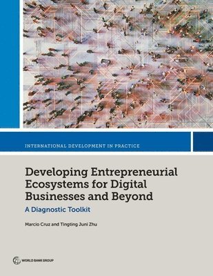 Developing Entrepreneurial Ecosystems for Digital Businesses and Beyond 1