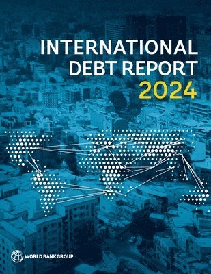 bokomslag International Debt Report 2024