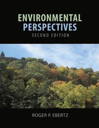 bokomslag Environmental Perspectives