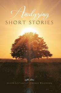 bokomslag Analyzing Short Stories