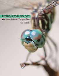 bokomslag Introductory Biology: An Invertebrate Perspective