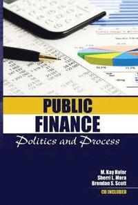 bokomslag Public Finance: Politics and Process