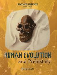 bokomslag Human Evolution and Prehistory
