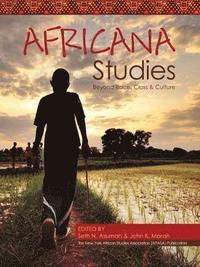 bokomslag Africana Studies: Beyond Race, Class and Culture