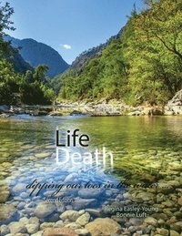 bokomslag Life/Death: Dipping Our Toes in the Water