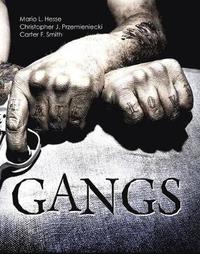 bokomslag Gangs