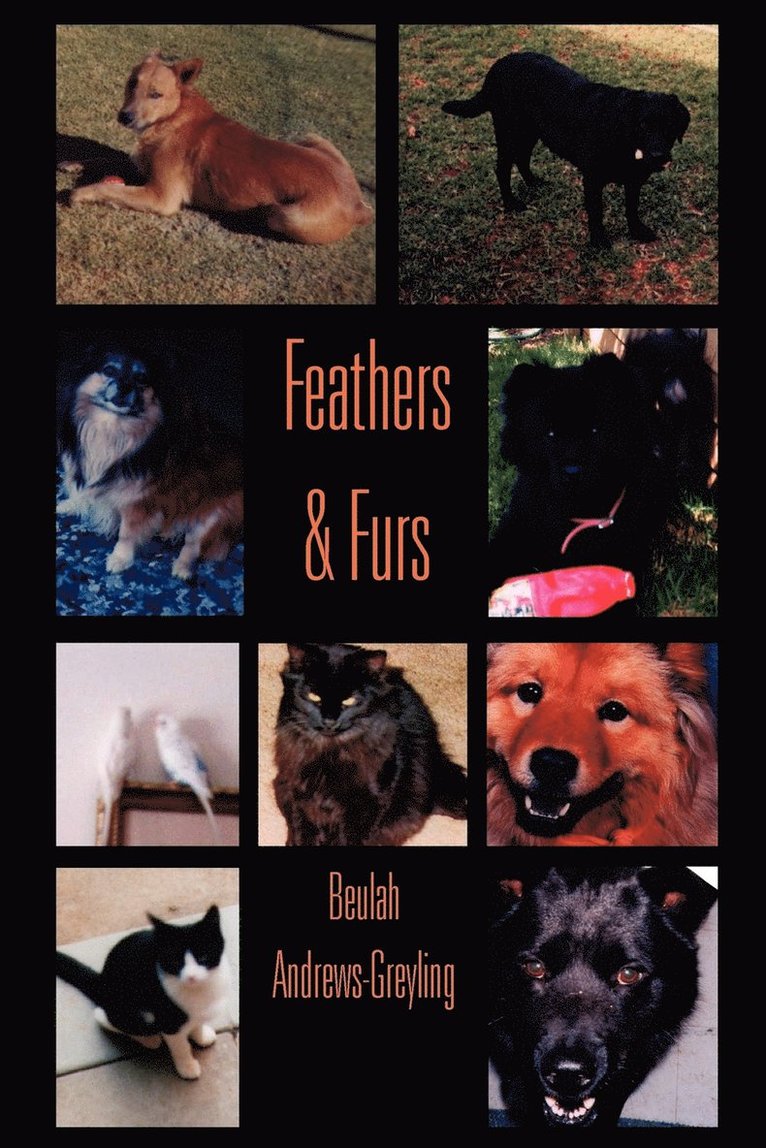 Feathers & Furs 1