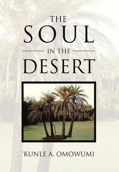 bokomslag The Soul in the Desert