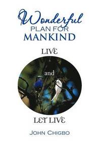 bokomslag Wonderful Plan for Mankind