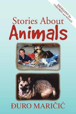 Stories About Animals 1