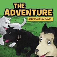 Jessica Shay Davis - Adventure, Häftad