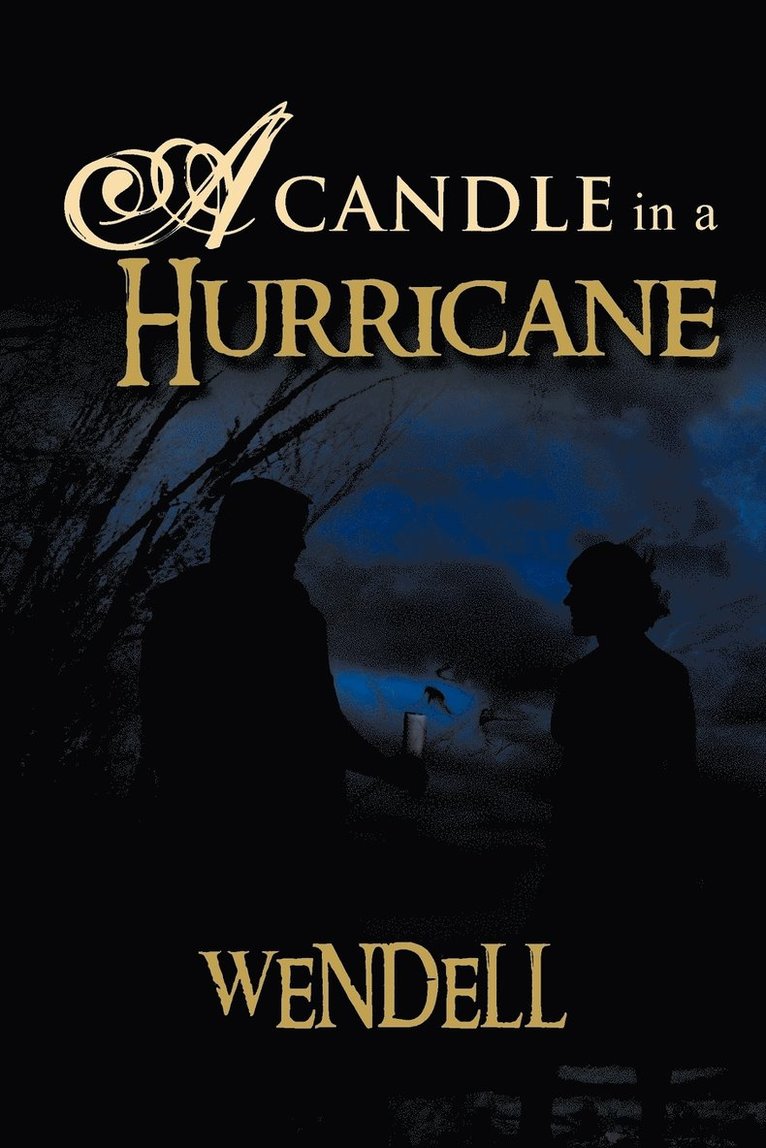 Wendell - Candle in a Hurricane, Häftad