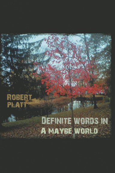 bokomslag Definite Words in a Maybe World