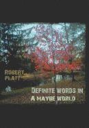 bokomslag Definite Words in a Maybe World