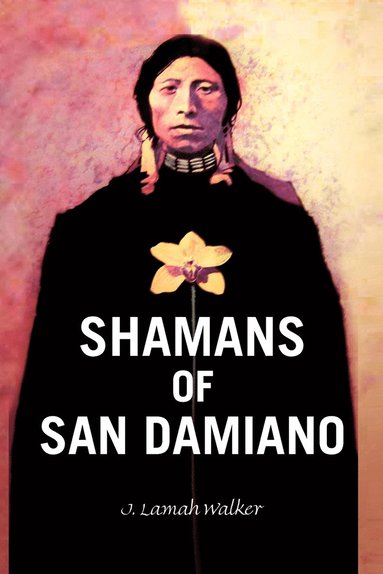 bokomslag Shamans of San Damiano