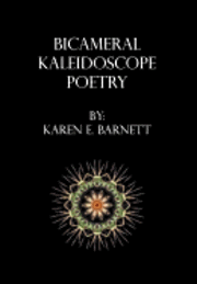 bokomslag Bicameral Kaleidoscope Poetry