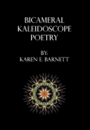 Bicameral Kaleidoscope Poetry 1