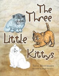 bokomslag The Three Little Kittys