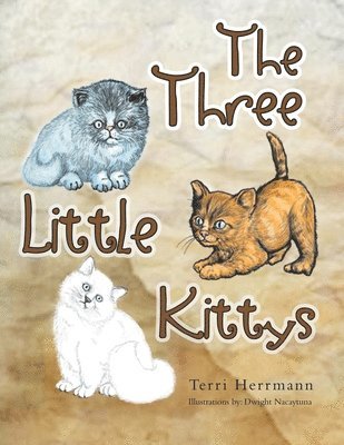 bokomslag Three Little Kittys