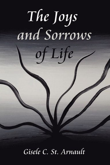 bokomslag Joys and Sorrows of Life