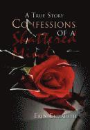 Confessions of a Shattered Mind