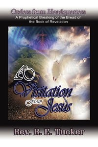 bokomslag Visitation from Jesus