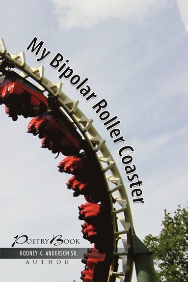 bokomslag My Bipolar Roller Coaster