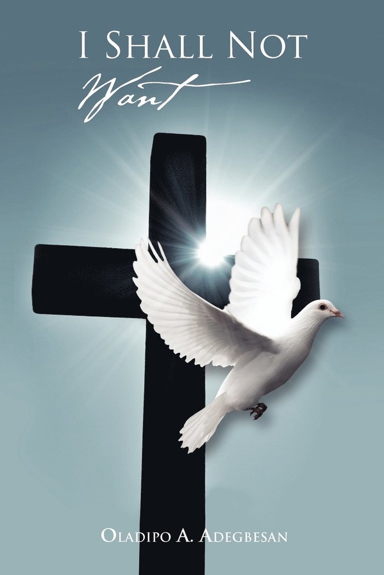 Oladipo A Adegbesan, Oladipo A. Adegbesan - I Shall Not Want, Häftad