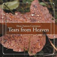 bokomslag Tears from Heaven