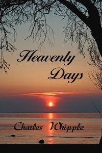bokomslag Heavenly Days