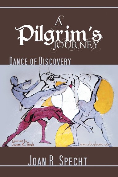 bokomslag Pilgrim's Journey