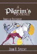 bokomslag Pilgrim's Journey