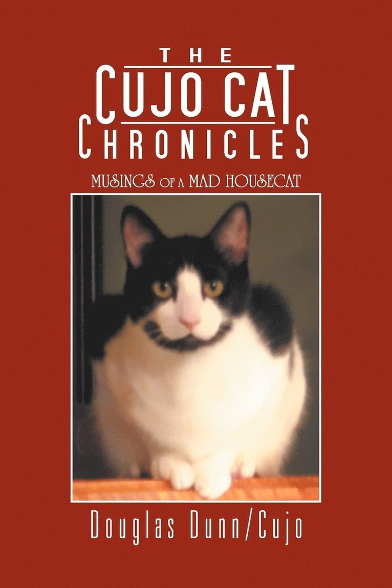 The Cujo Cat Chronicles 1