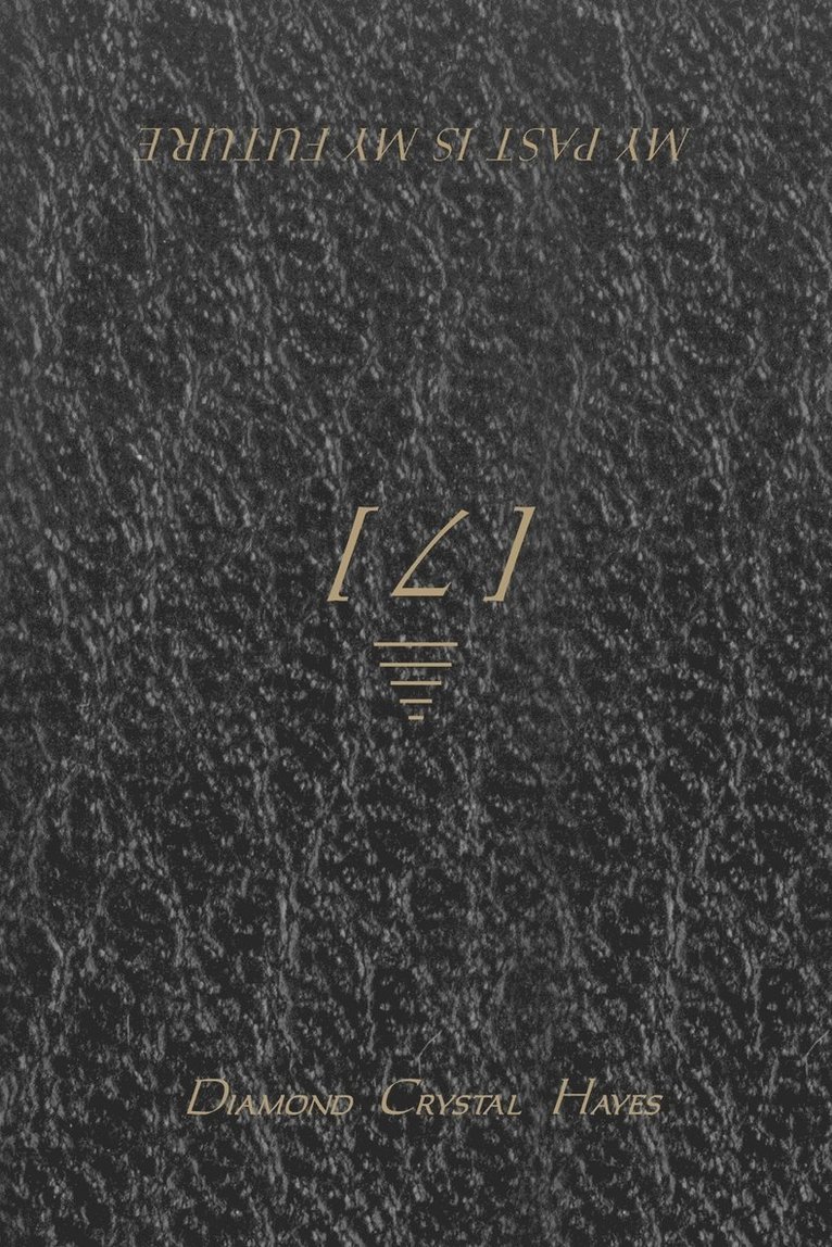 Diamond Crystal Hayes - My Past Is My Future, Häftad