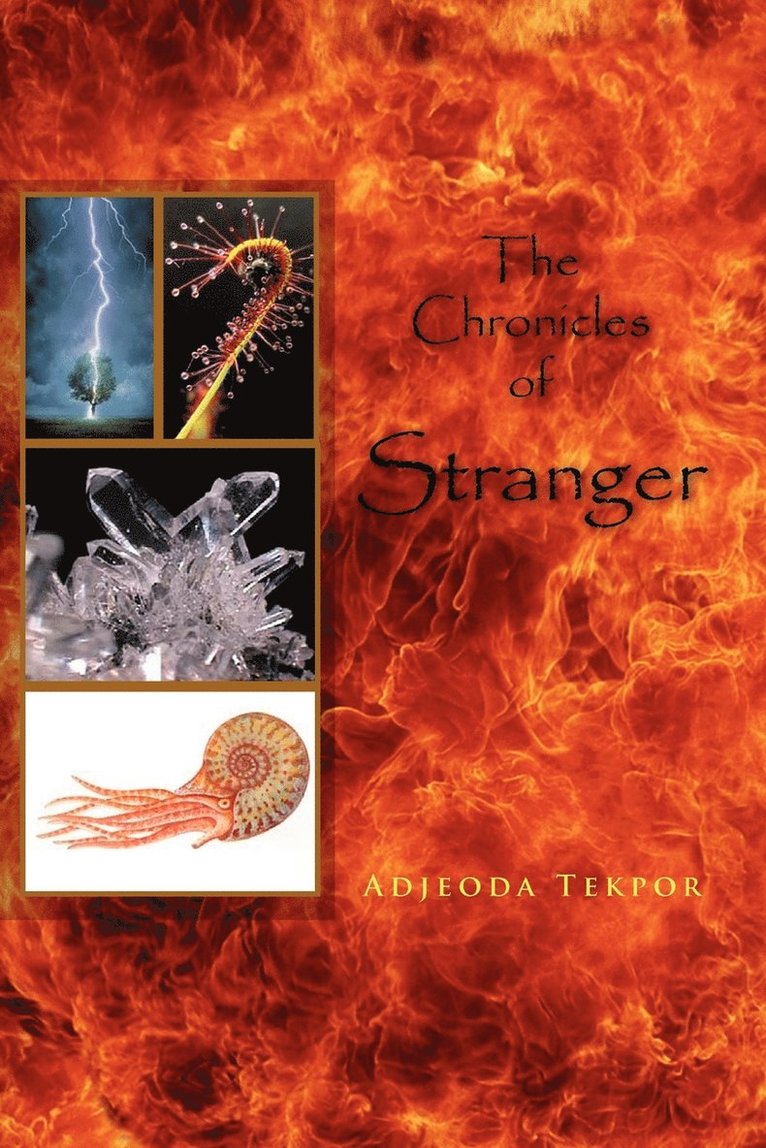 The Chronicles of Stranger 1