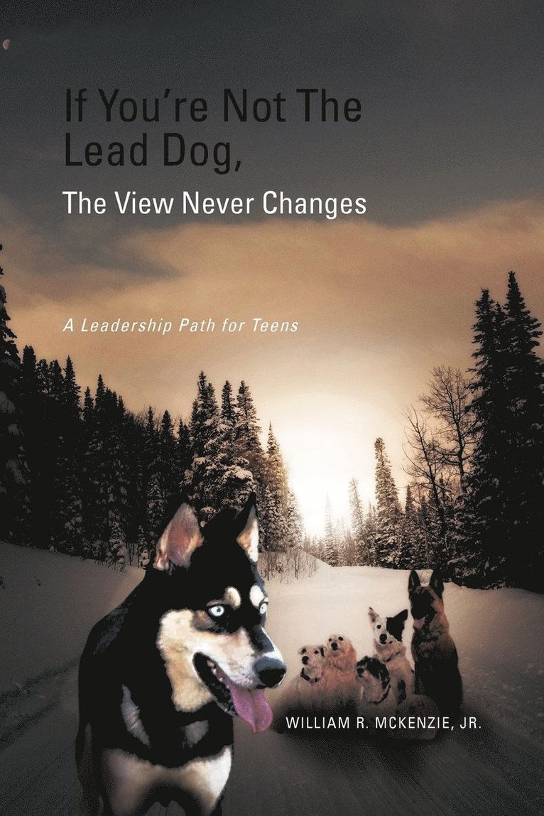 If You're Not The Lead Dog, The View Never Changes