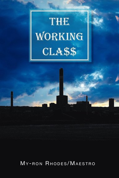 bokomslag Working Cla$$