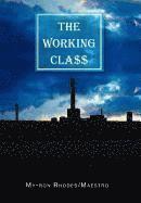 bokomslag Working Cla$$