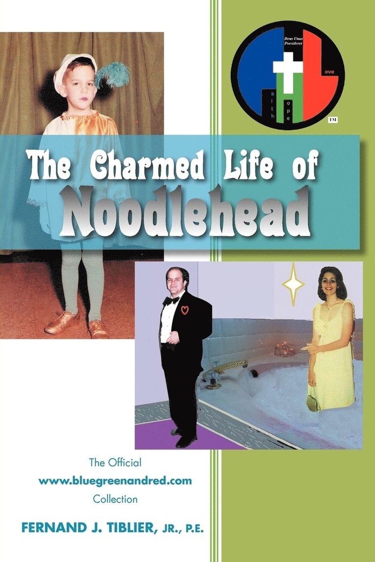 The Charmed Life of Noodlehead 1