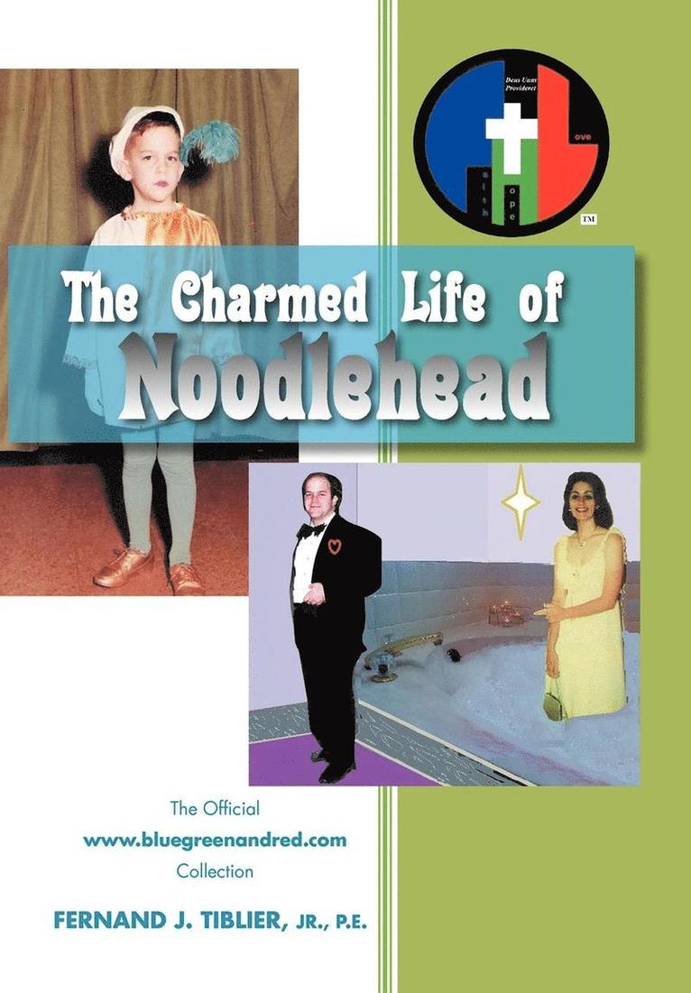 The Charmed Life of Noodlehead 1