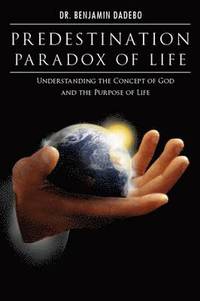 bokomslag Predestination Paradox of Life
