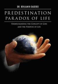 bokomslag Predestination Paradox of Life