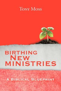 bokomslag Birthing New Ministries