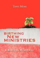 bokomslag Birthing New Ministries