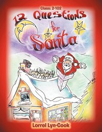 bokomslag 12 Questions for Santa