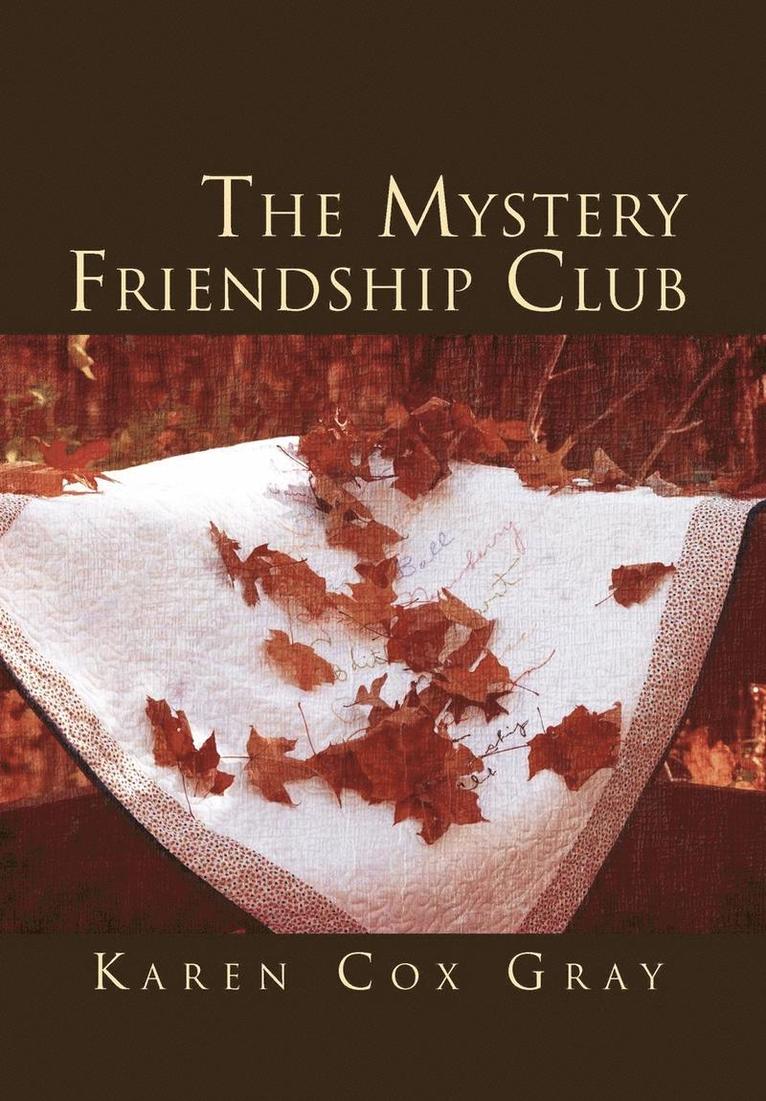 The Mystery Friendship Club 1