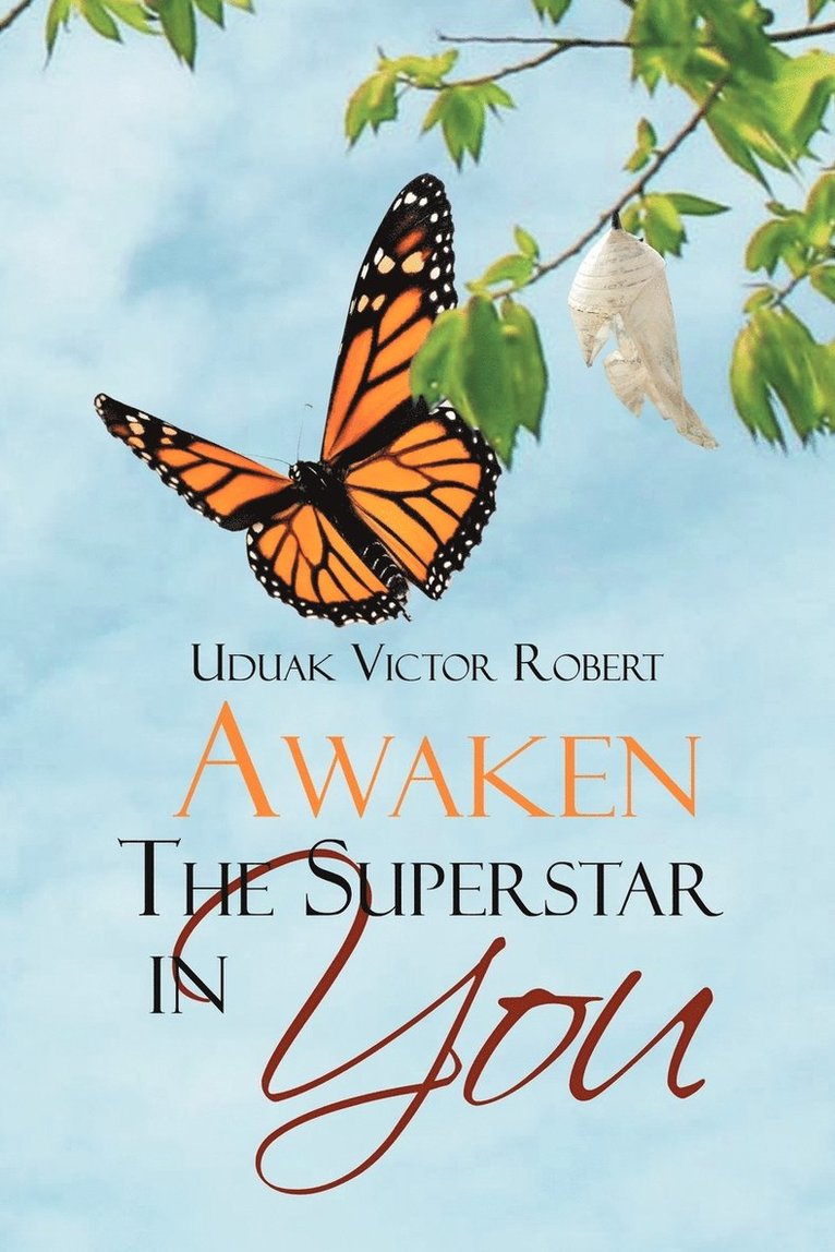 Uduak Victor Robert - Awaken The Superstar in You, Häftad